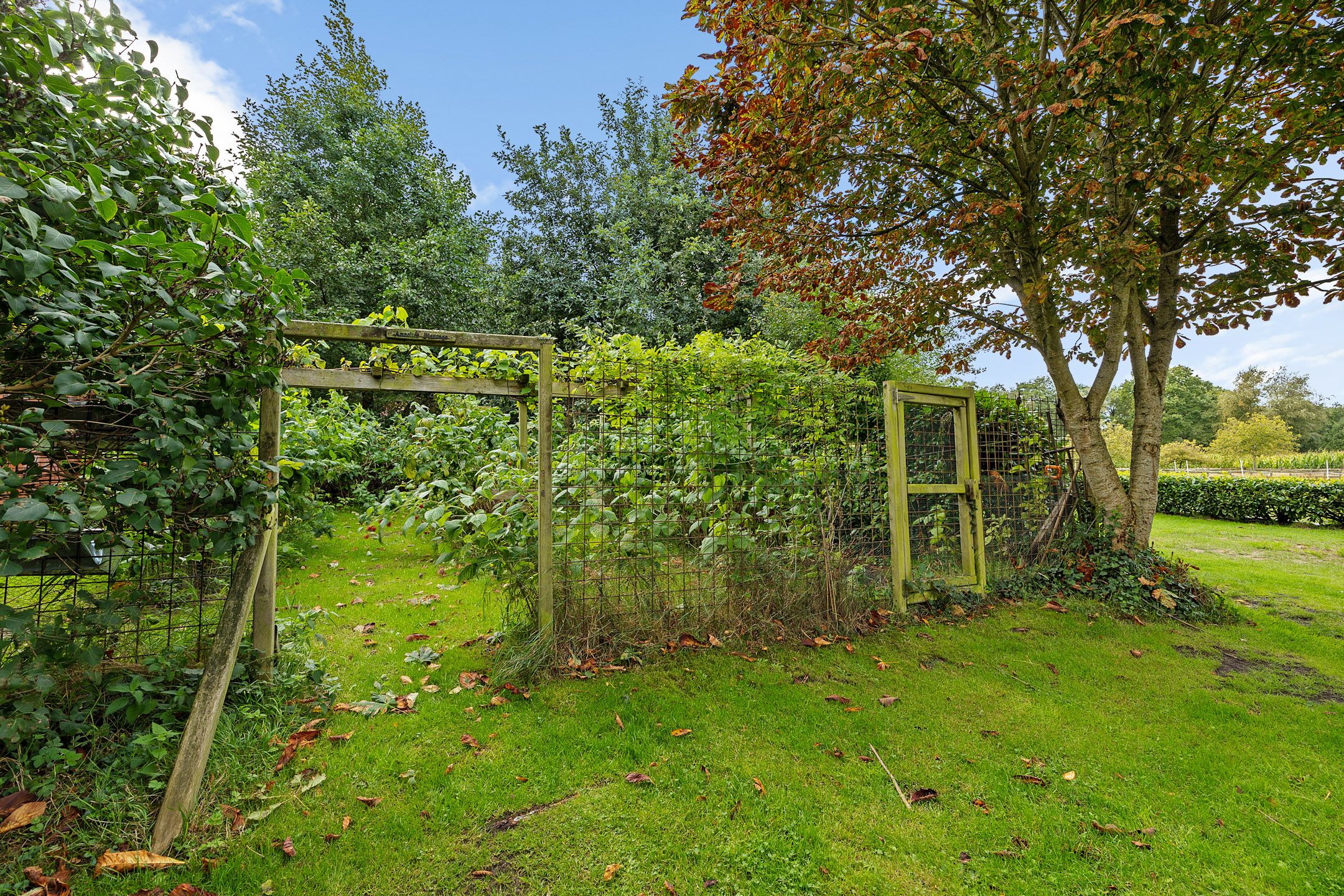 Foto 33 van Breiter Weg 74