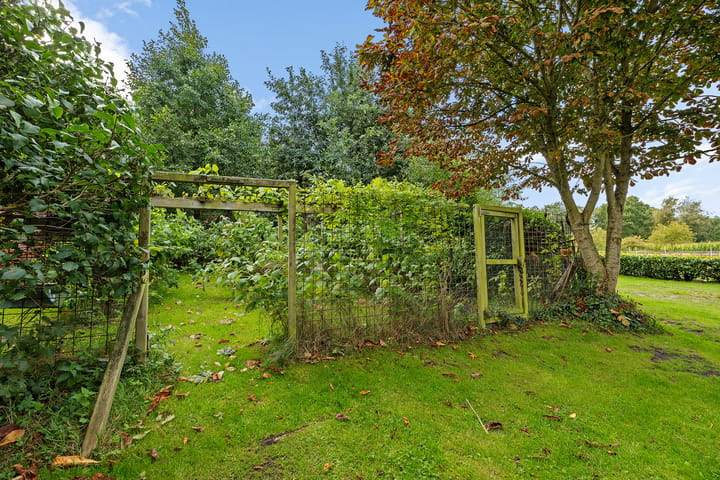 Foto 33 van Breiter Weg 74