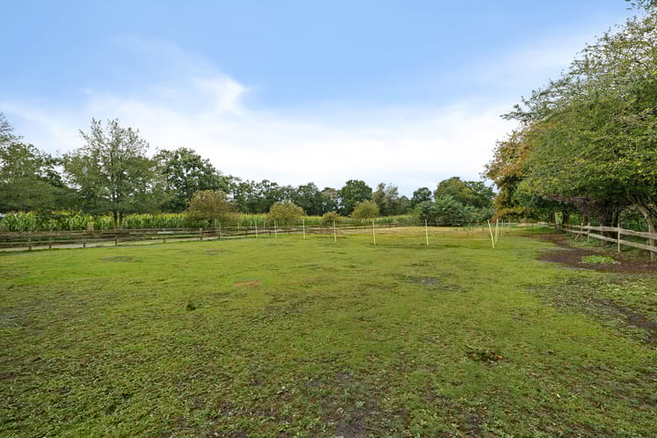 Foto 35 van Breiter Weg 74