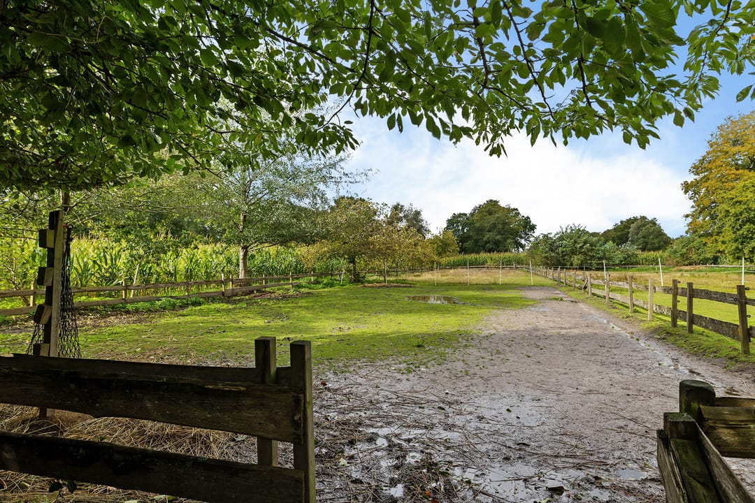 Foto 38 van Breiter Weg 74