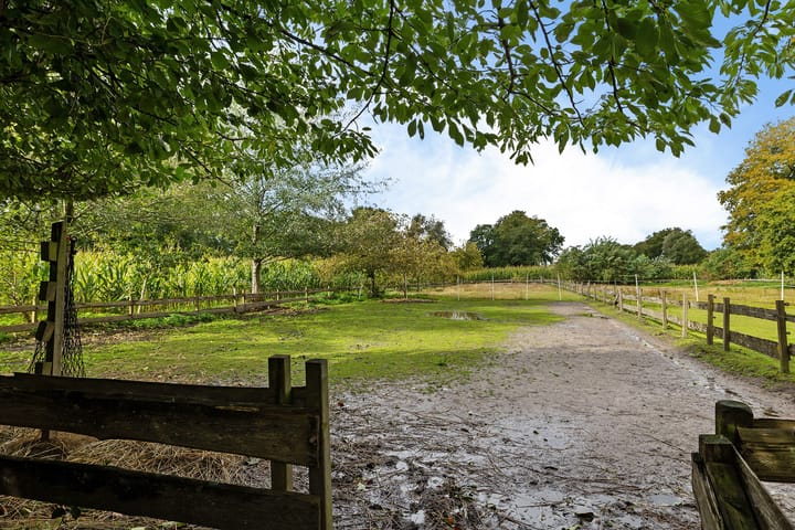 Foto 38 van Breiter Weg 74