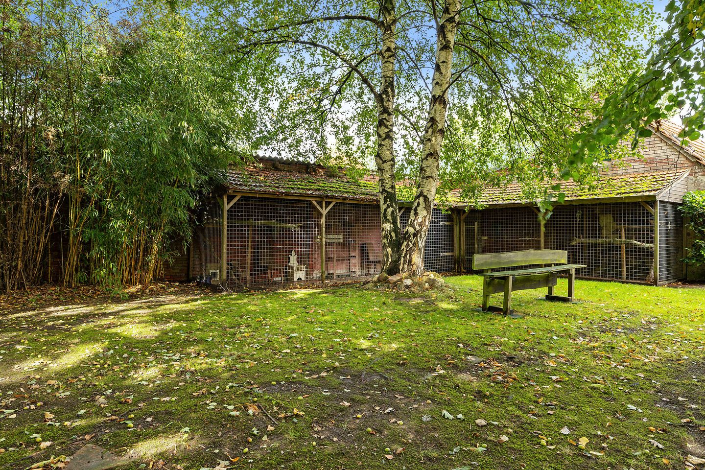 Foto 40 van Breiter Weg 74