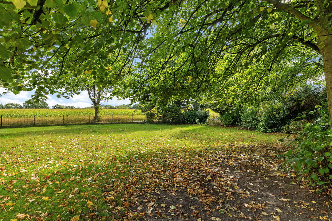 Foto 41 van Breiter Weg 74