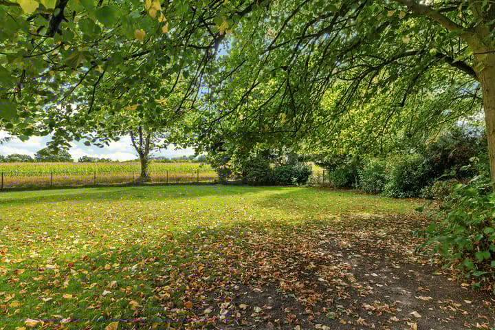 Foto 41 van Breiter Weg 74