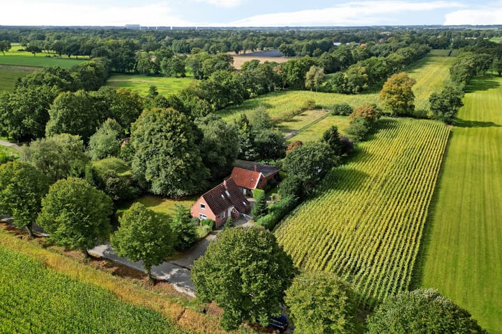 Foto 45 van Breiter Weg 74