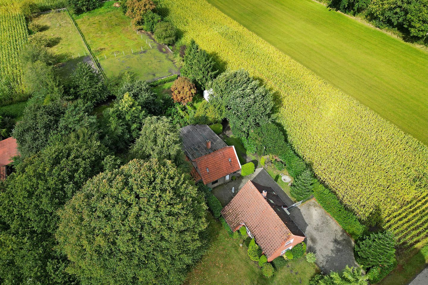 Foto 49 van Breiter Weg 74