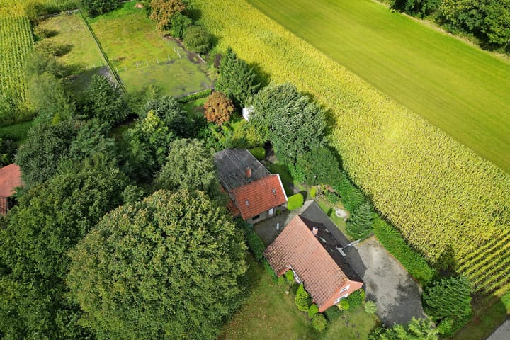 Foto 49 van Breiter Weg 74