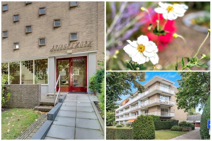 Foto 4 van Herenstraat 149