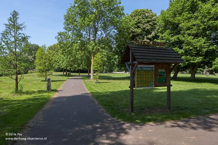 Foto 39 van Roggekamp 289