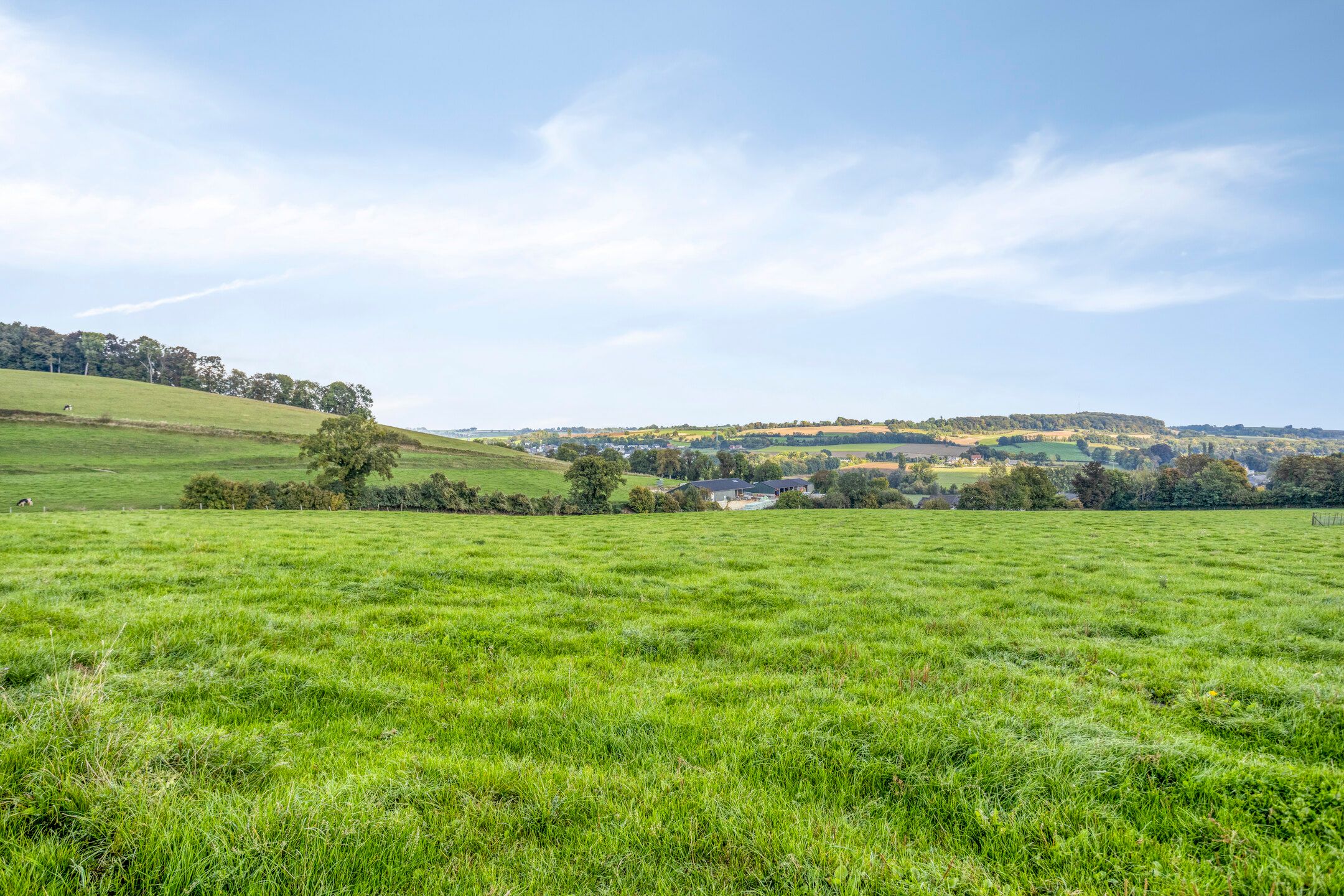 Photo 33 of Dokter Haackstraat 2
