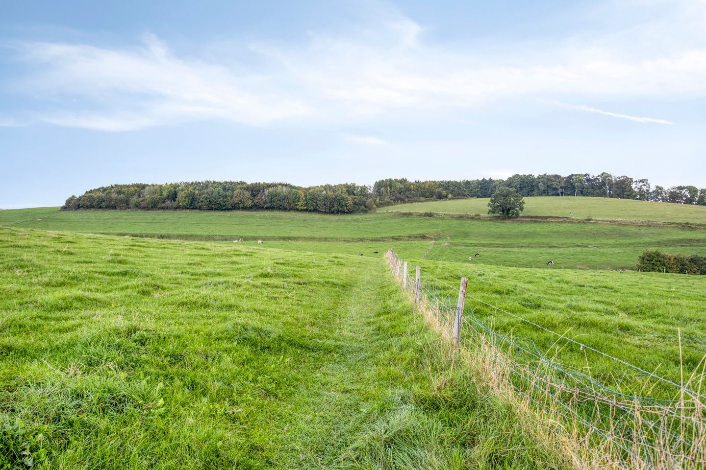 Photo 34 of Dokter Haackstraat 2