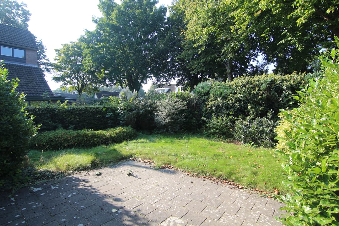 Foto 16 van Laurier 16