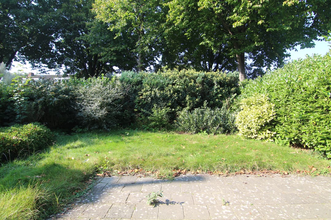 Foto 17 van Laurier 16