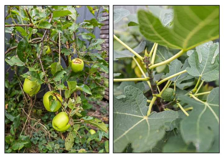 Photo 25 of Fort Vreeswijkhof 25