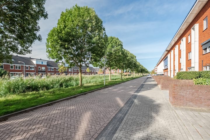 Foto 35 van Alver 104