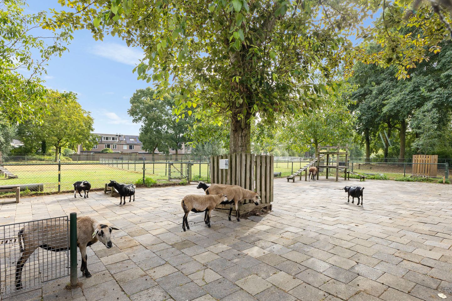 Foto 29 van Kruisherenborch 25