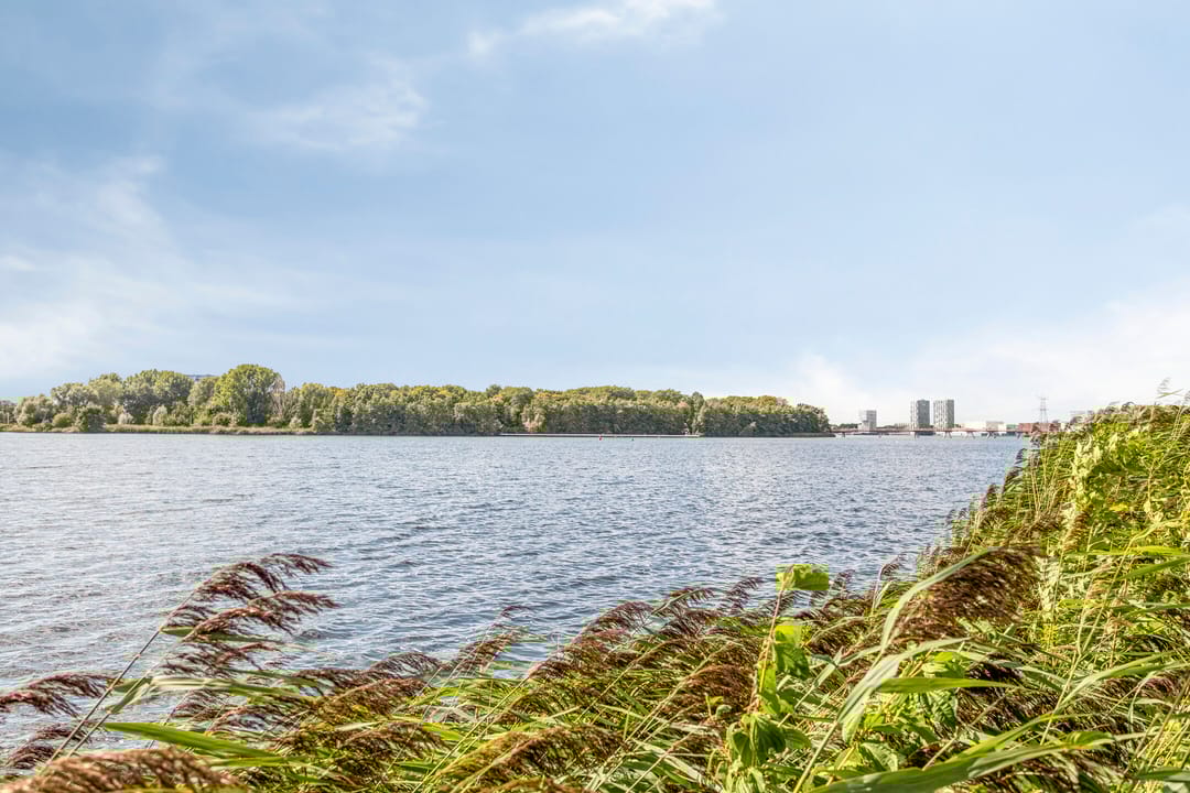 Foto 31 van Hitchcocklaan 98