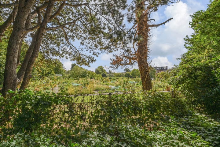 Foto 39 van Mient 405