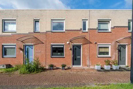 undefined main image