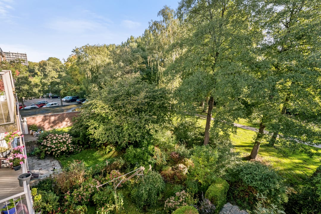 Photo 31 of Camera Obscuralaan 324