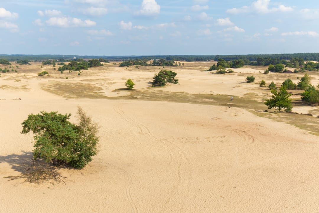 Photo 56 of Kerkendelweg 49-60
