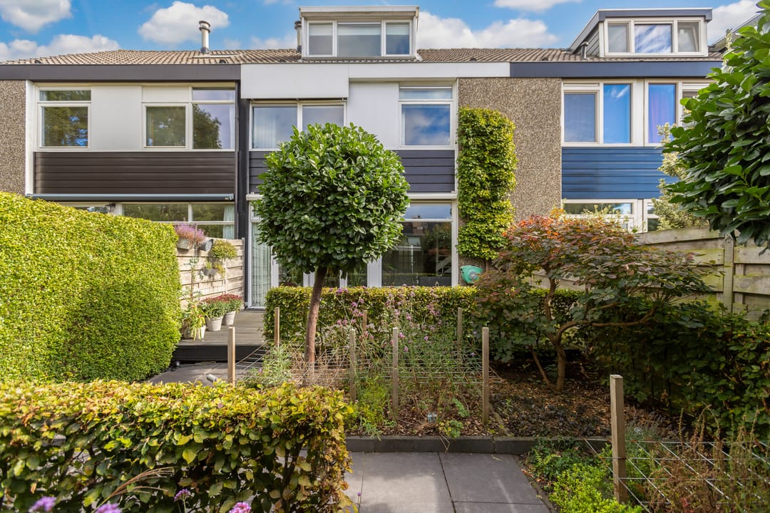 Foto 2 van Pluim-es 48