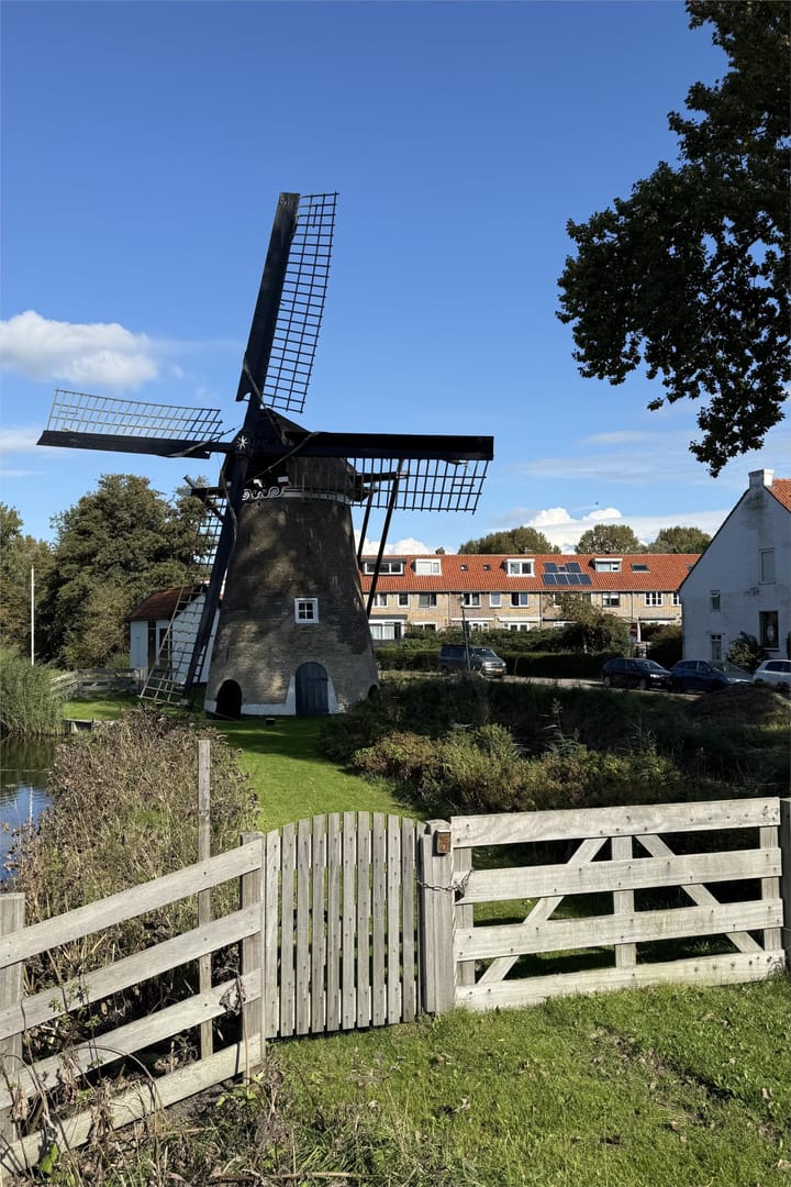 Foto 39 van Madeliefstraat 15