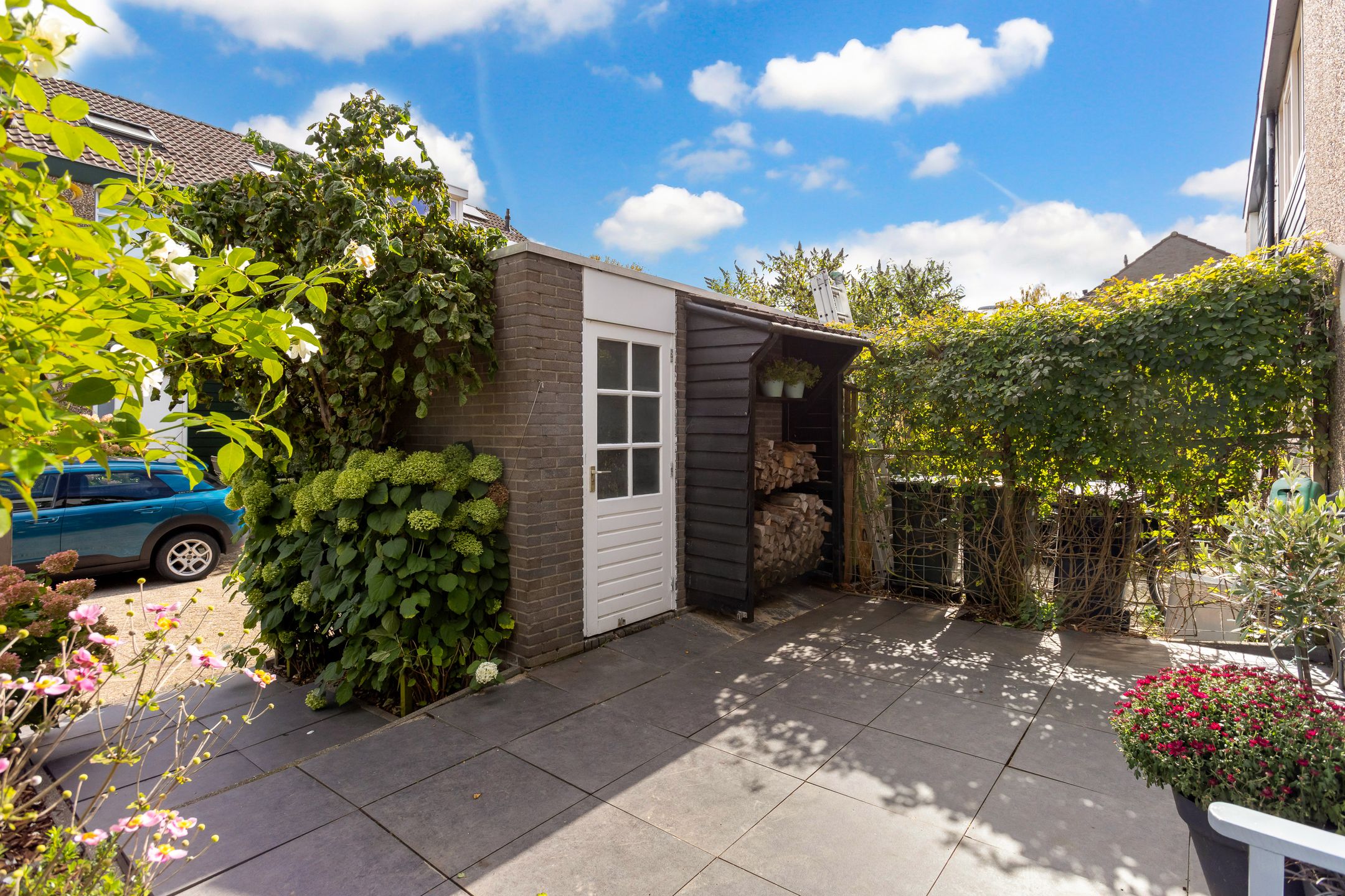 Foto 42 van Pluim-es 48