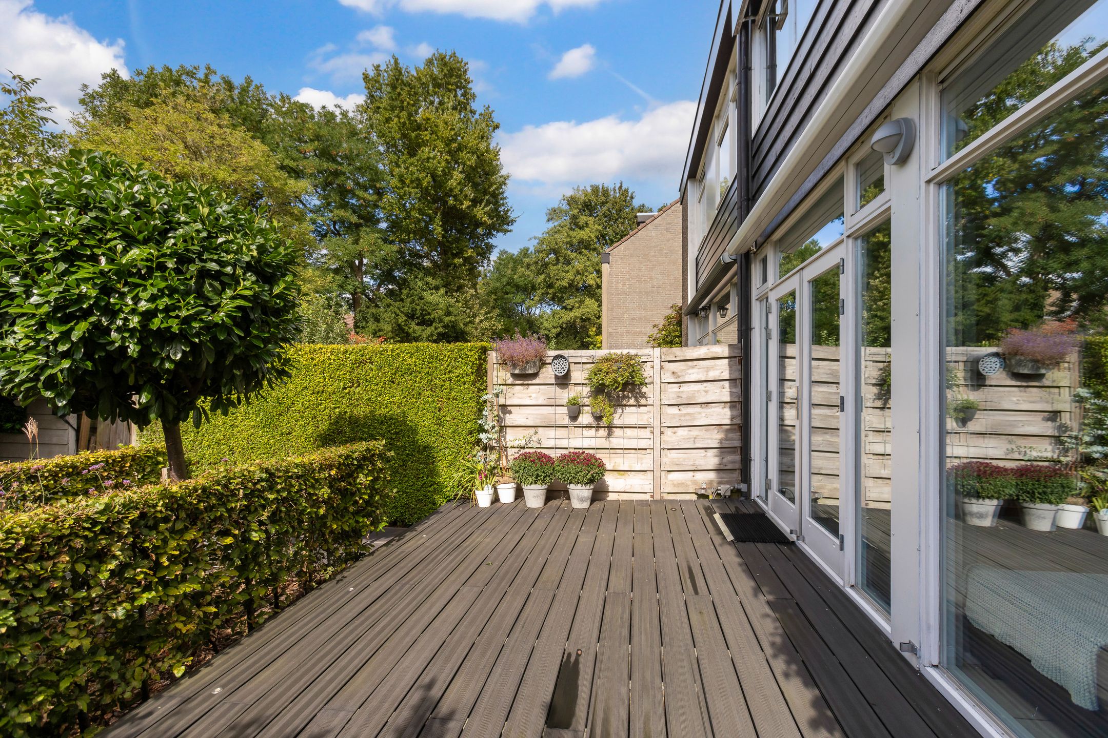 Foto 45 van Pluim-es 48