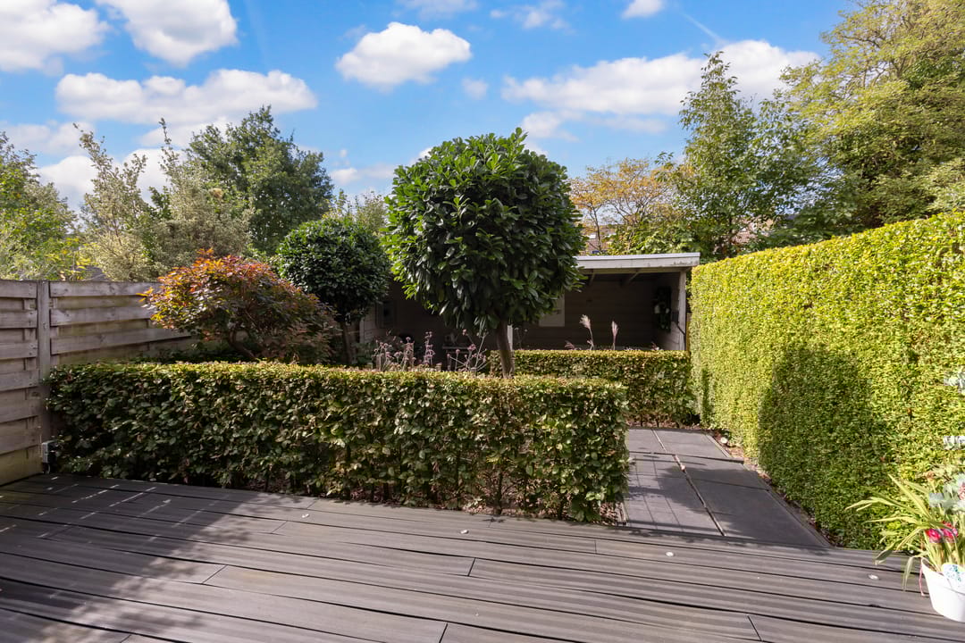 Foto 46 van Pluim-es 48