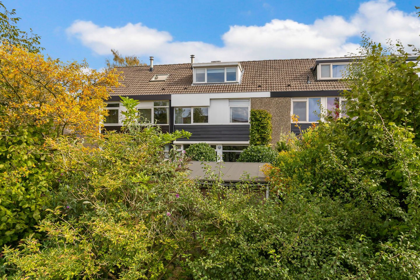 Foto 49 van Pluim-es 48