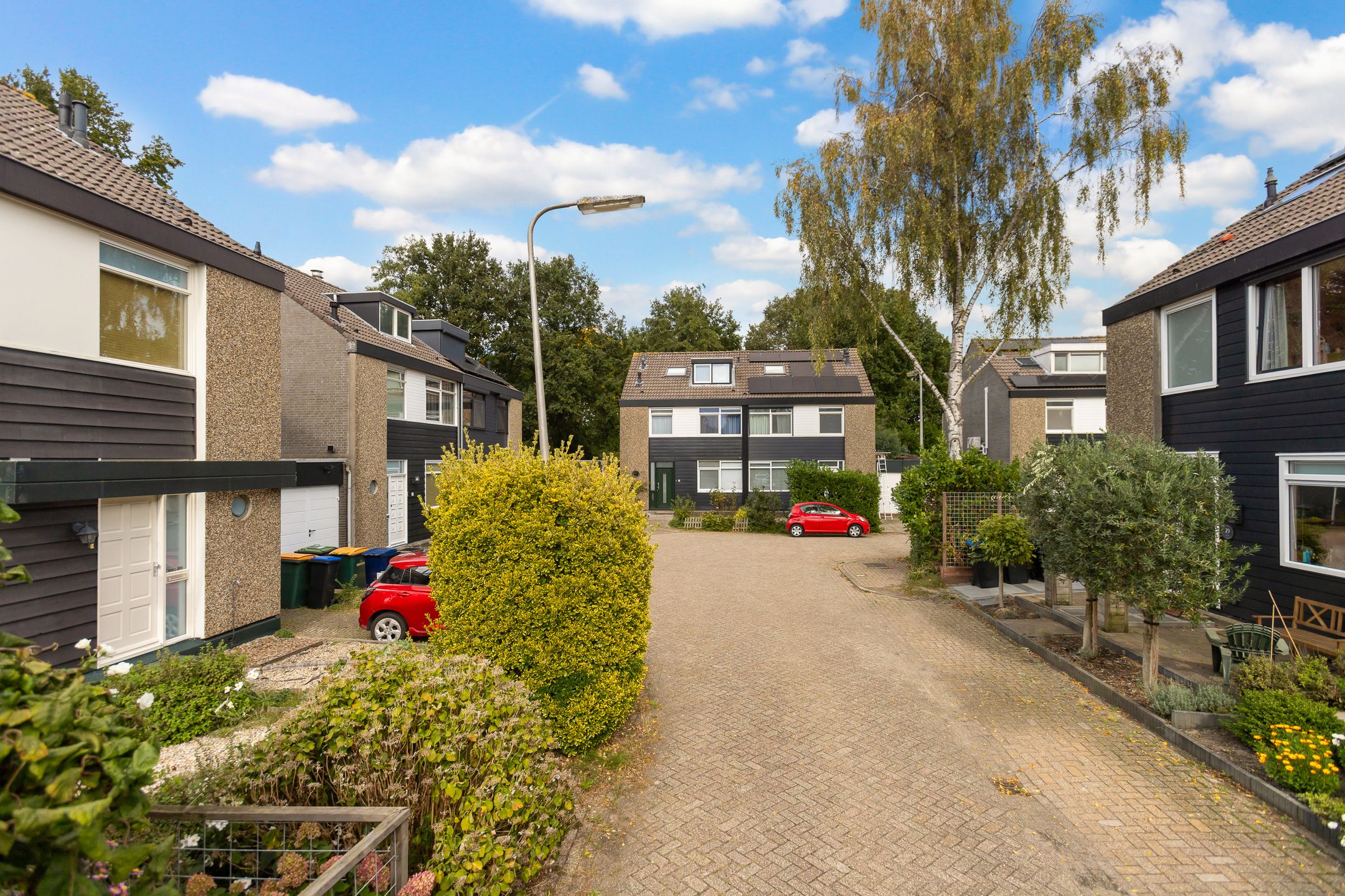 Foto 51 van Pluim-es 48