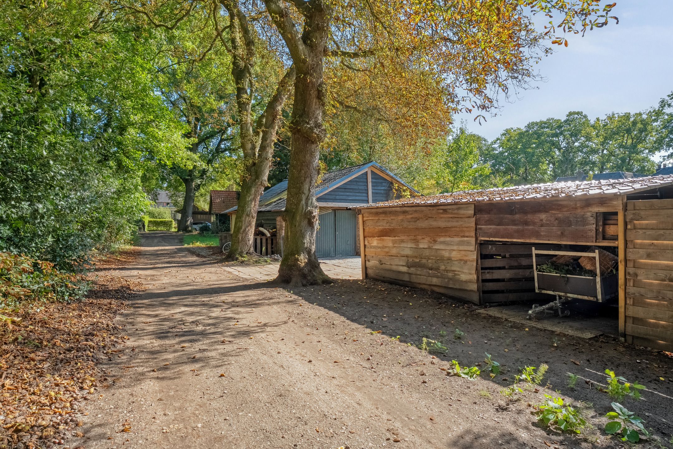 Foto 51 van Boslaan 17