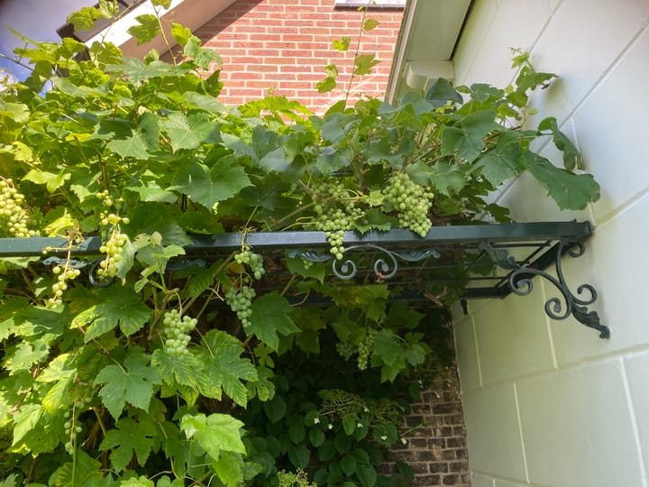 Photo 13 of Raadhuisstraat 46