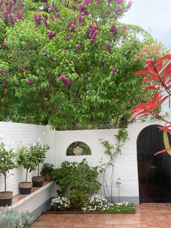 Photo 37 of Raadhuisstraat 46