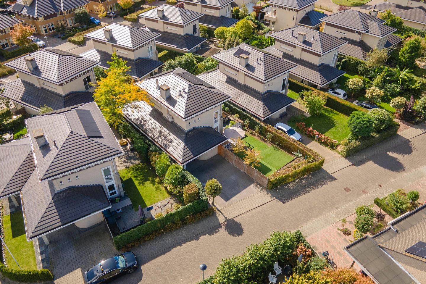 Foto 49 van Steenspil 8