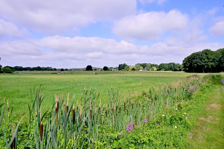 Photo 4 of Boedelhofweg 114