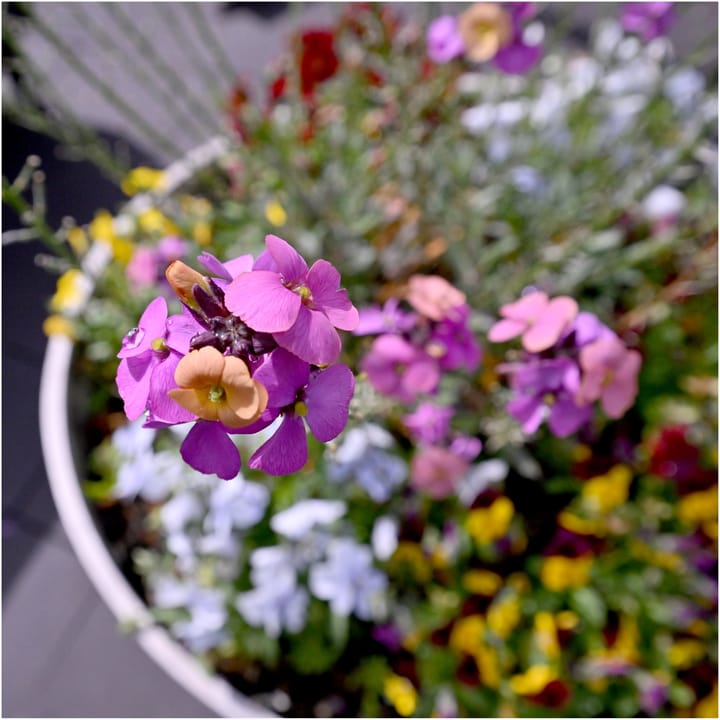 Photo 16 of Boedelhofweg 114