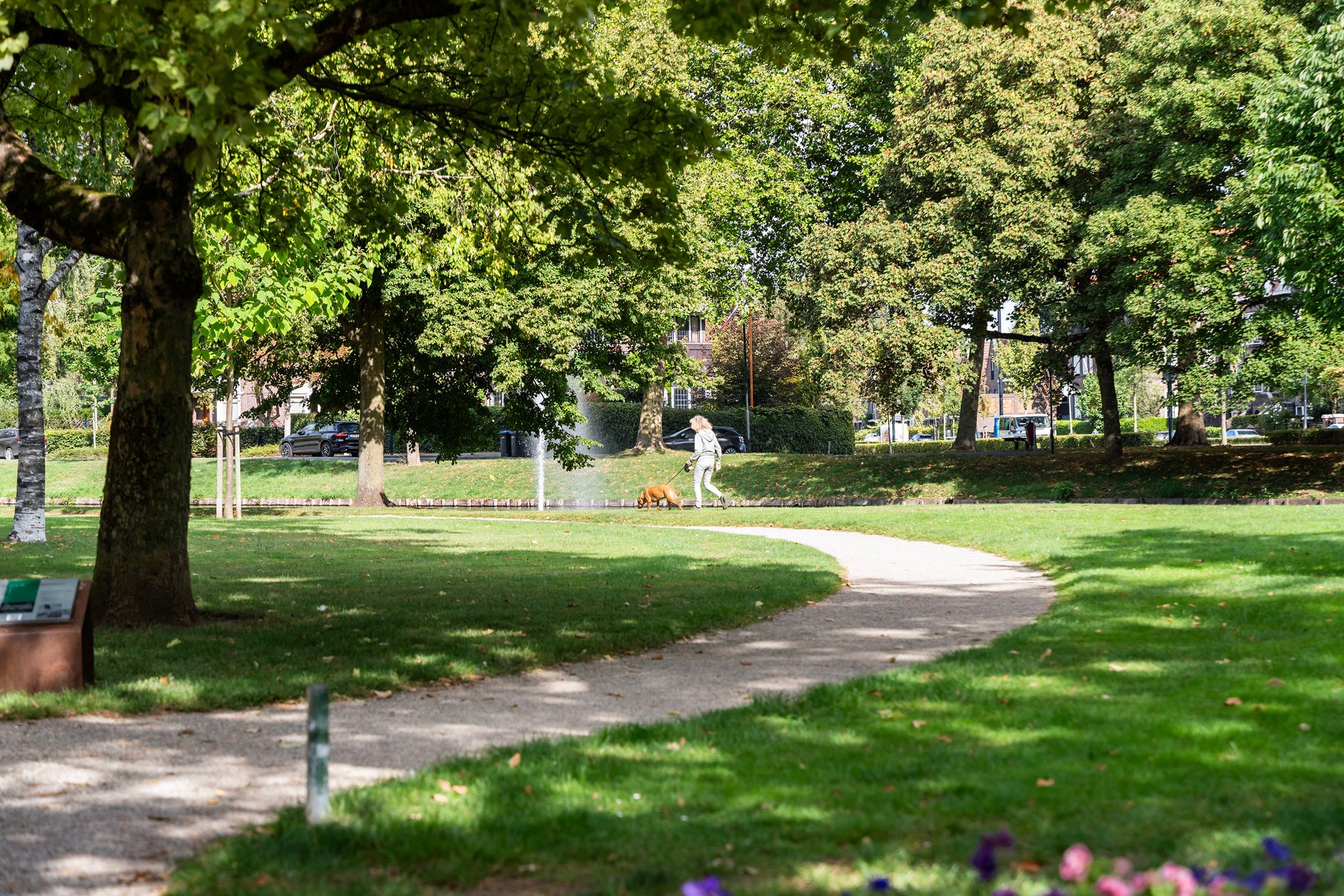 Photo 27 of Anthonie Camerlingstraat 35