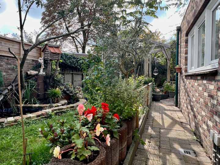 Foto 2 van Tramstraat 49