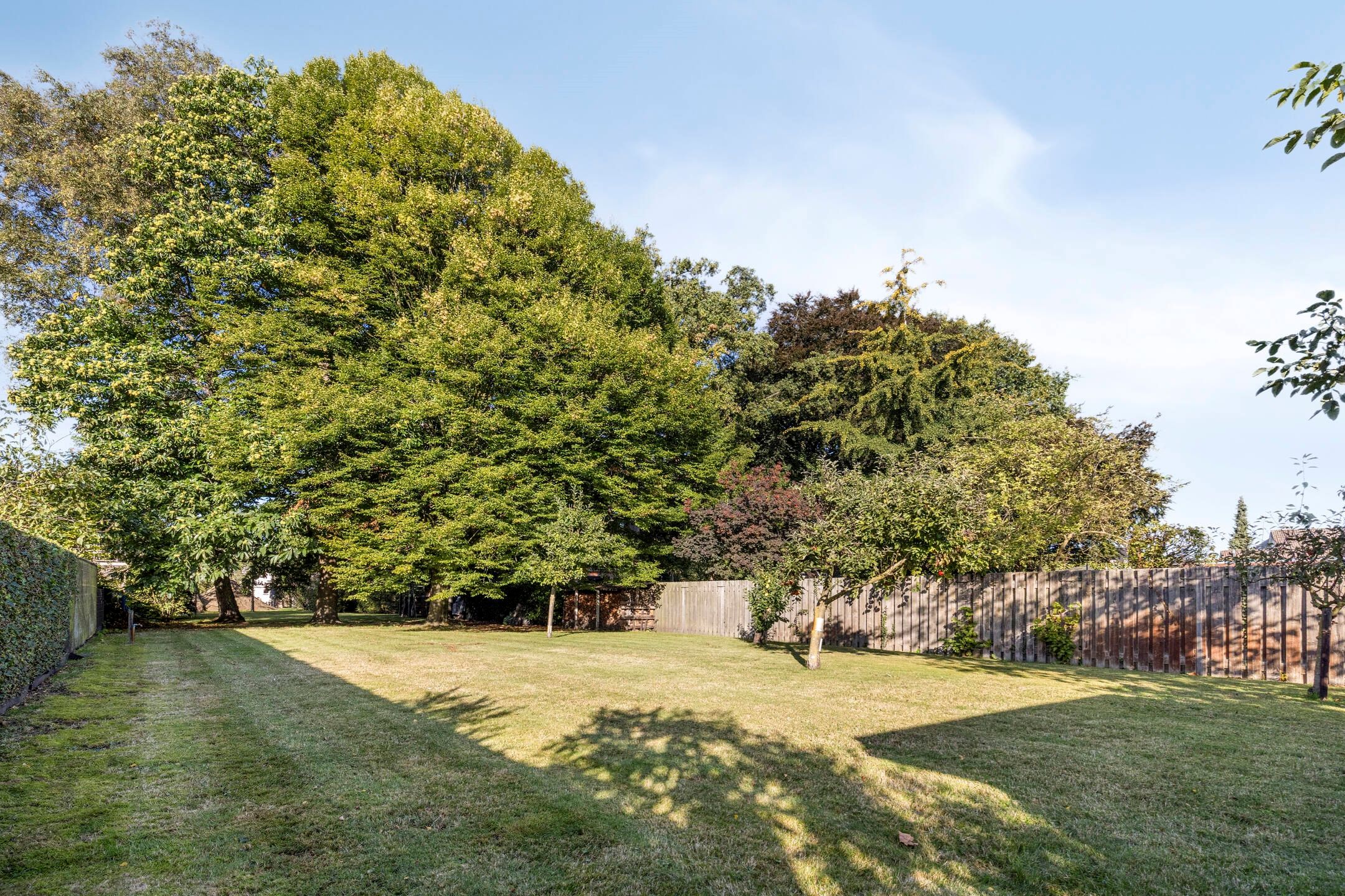 Photo 33 of Nieuwstraat 39