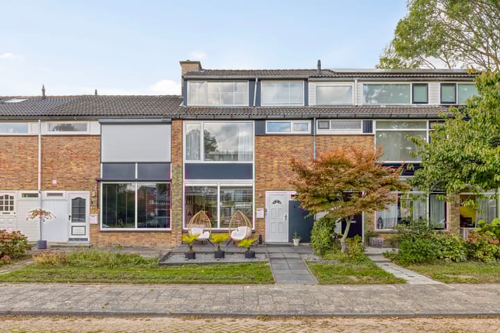 Foto 1 van Lucas van Leijdenpad 9