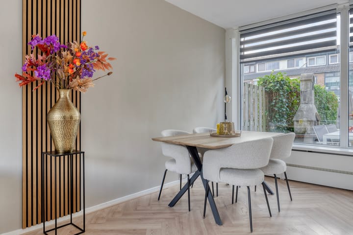 Foto 4 van Lucas van Leijdenpad 9