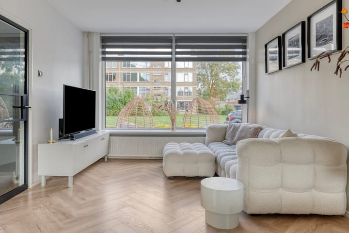 Foto 6 van Lucas van Leijdenpad 9