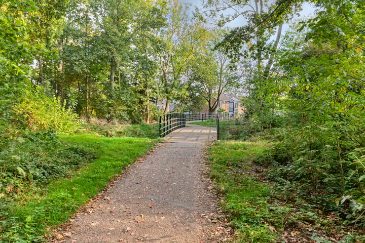 Foto 16 van Lucas van Leijdenpad 9