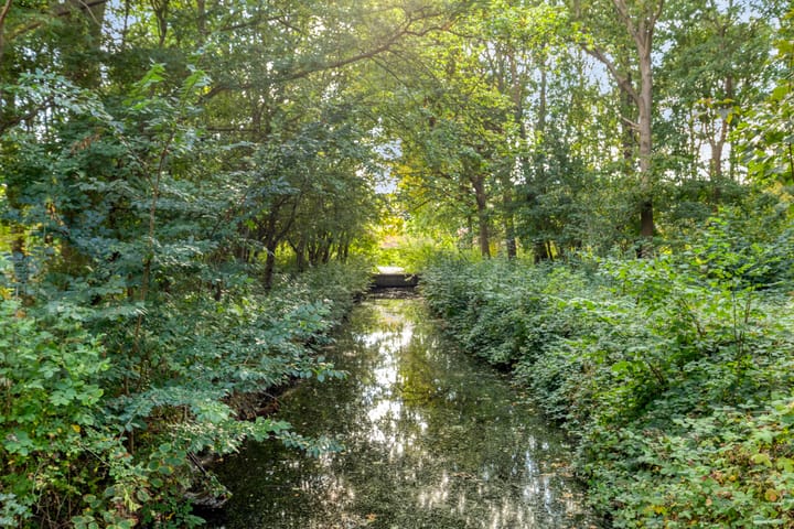 Foto 41 van Lucas van Leijdenpad 9