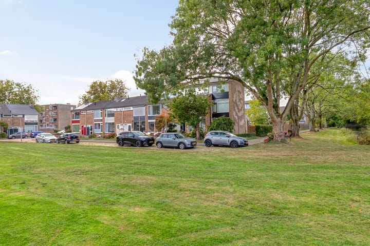 Foto 40 van Lucas van Leijdenpad 9