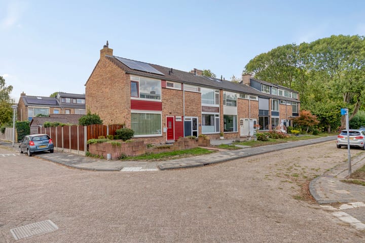 Foto 42 van Lucas van Leijdenpad 9