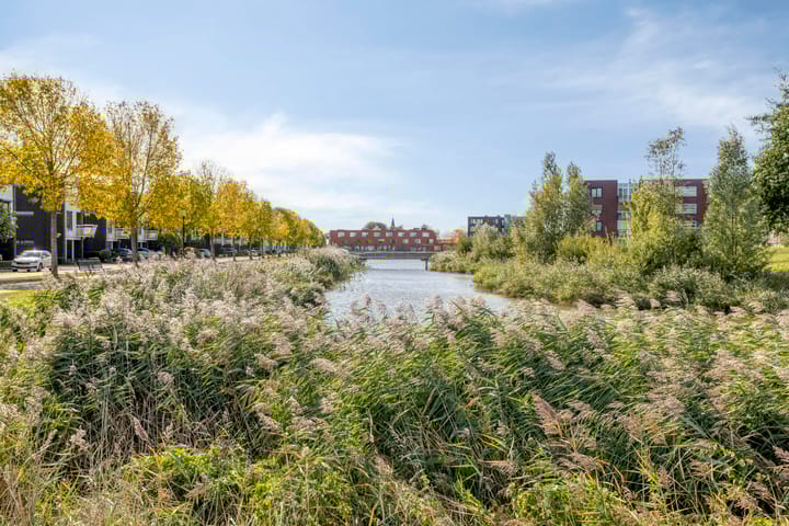 Photo 42 of Valeriaanstraat 18