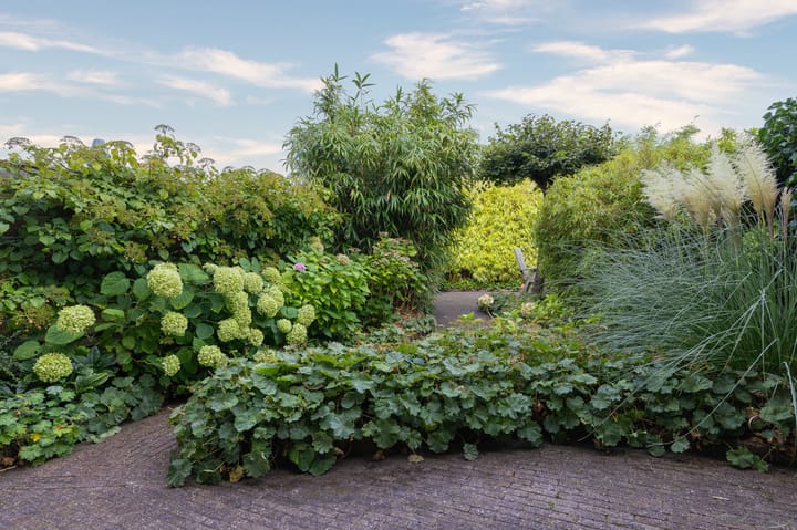 Foto 43 van Han Hoekstrahof 81